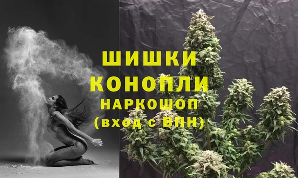 мдпв Лиски